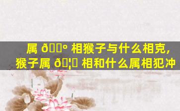 属 🌺 相猴子与什么相克,猴子属 🦄 相和什么属相犯冲